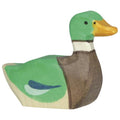 Swimming Drake