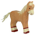 Standing Brown Foal