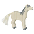 Horse with Grey Mane