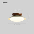 Aurora Ceiling Light Bowl-shaped
