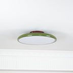 Fyne Adjustable Ceiling Light Colorful for Bedroom