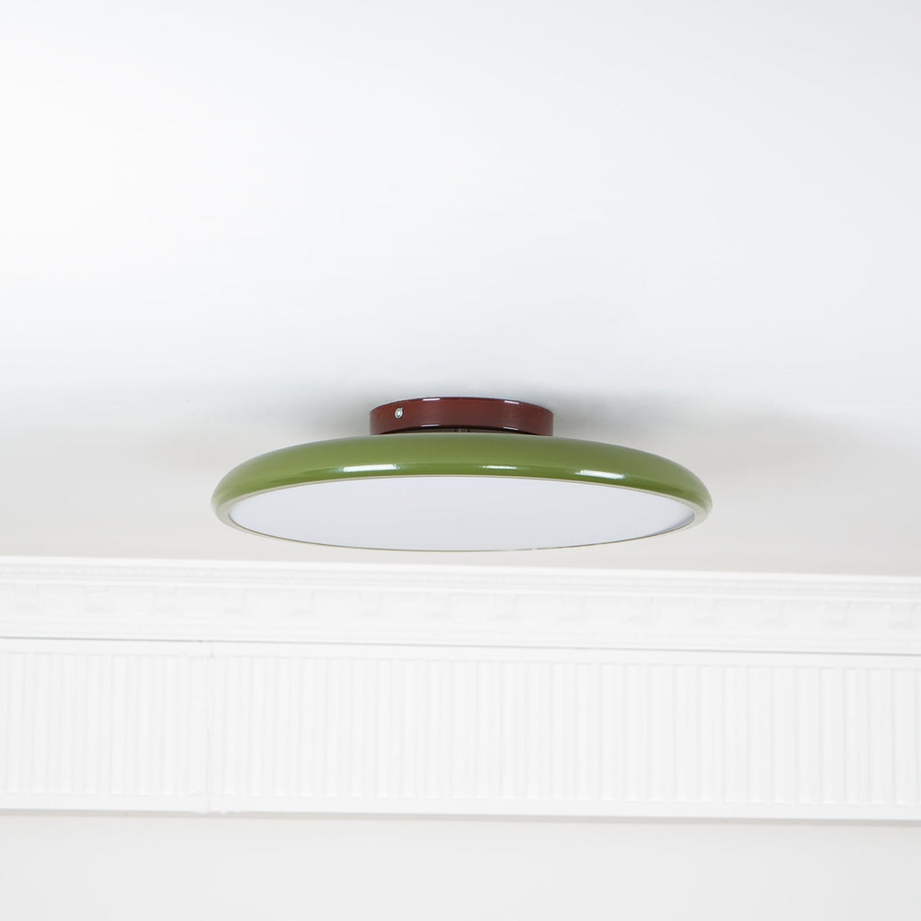 Fyne Adjustable Ceiling Light Colorful for Bedroom