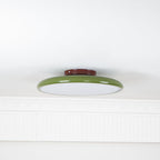 Fyne Adjustable Ceiling Light Colorful for Bedroom