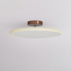 Fyne Adjustable Ceiling Light Colorful for Bedroom