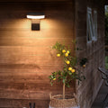 Warm Light(3000K)