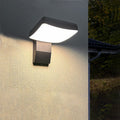 White Light (6000K)