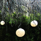 Lunara  Moon Pendant Lamp
