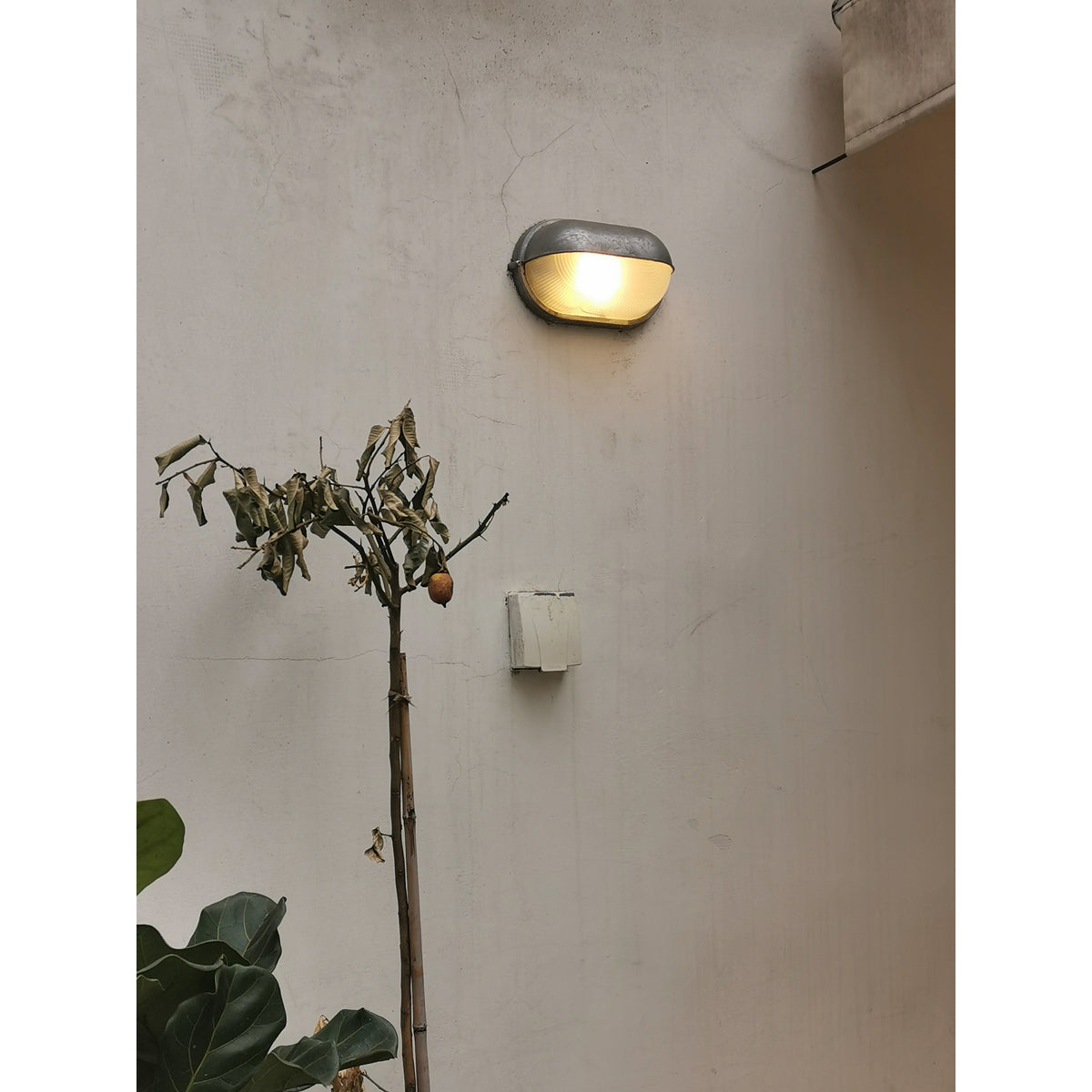 Nauticus Outdoor Wall Sconce IP54 Waterproof Porch Garden — Silver Gold Black Green