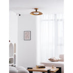 Pot-Lid Flat Panel Ceiling Light Dimmable Gold Nickel Bedroom Dining Room — 19 Inch