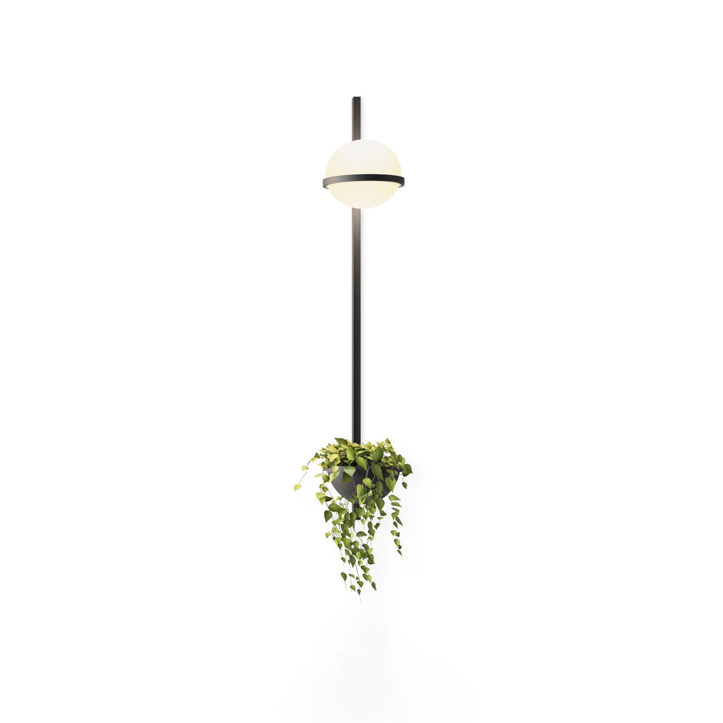 Ray Indoor & Outdoor Wall Light – Stylish Weather-Resistant Lighting for Any Space