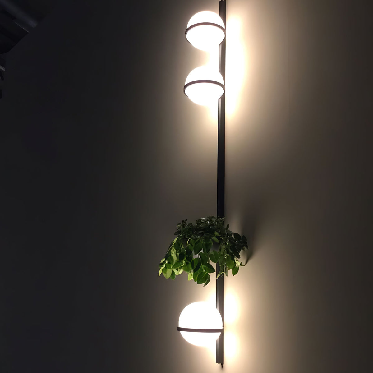 Ray Indoor & Outdoor Wall Light – Stylish Weather-Resistant Lighting for Any Space
