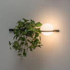 Ray Indoor & Outdoor Wall Light – Stylish Weather-Resistant Lighting for Any Space