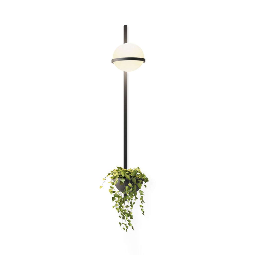 Ray Indoor & Outdoor Wall Light – Stylish Weather-Resistant Lighting for Any Space
