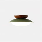 Aurora Ceiling Light Bowl-shaped