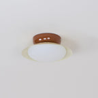 Aurora Ceiling Light Bowl-shaped