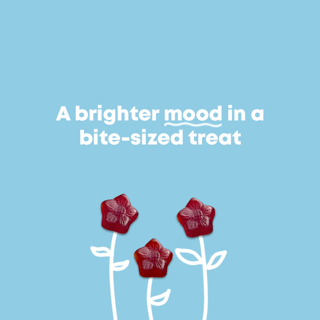 Mood Munchies - JoySpring Kids Saffron Gummies