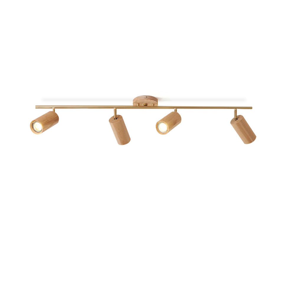 Arthur Ceiling Light Spotlight
