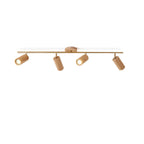 Arthur Ceiling Light Spotlight