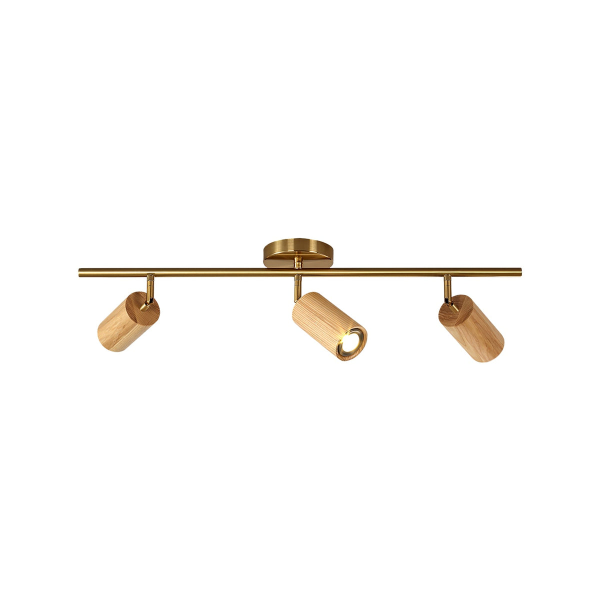 Arthur Ceiling Light Spotlight