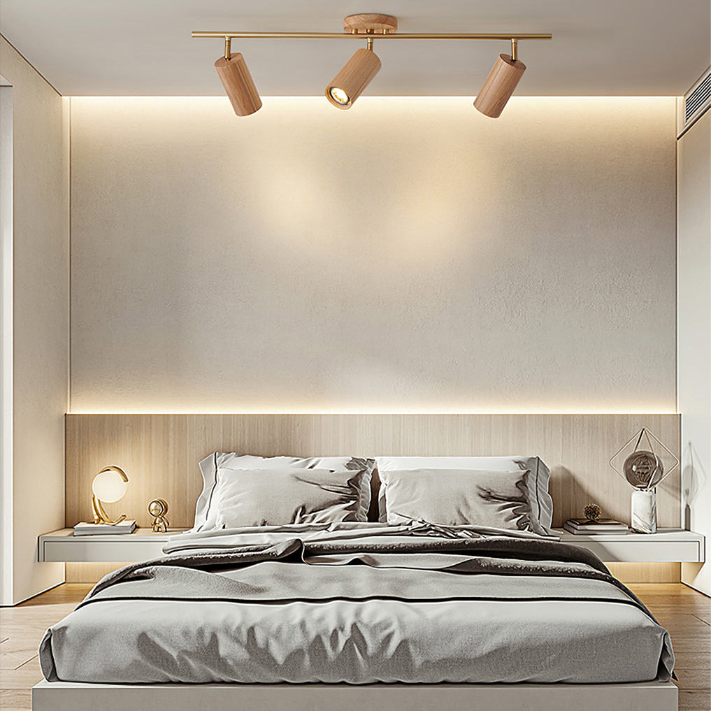 Arthur Ceiling Light Spotlight