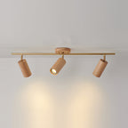Arthur Ceiling Light Spotlight