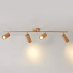 Arthur Ceiling Light Spotlight