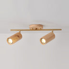 Arthur Ceiling Light Spotlight