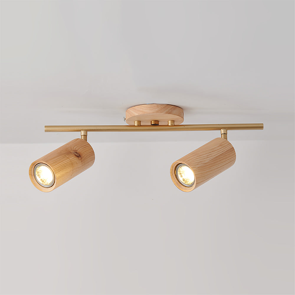 Arthur Ceiling Light Spotlight