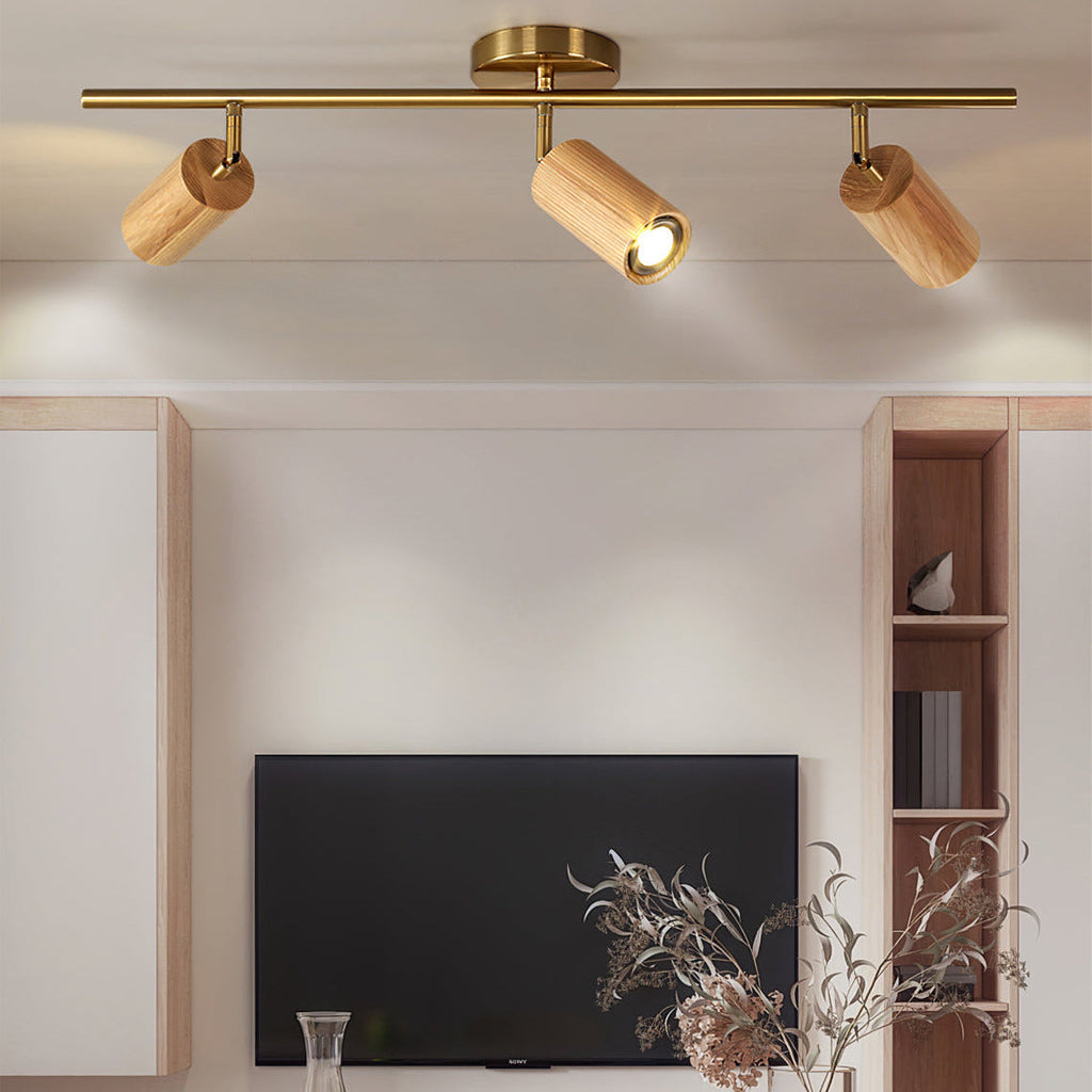 Arthur Ceiling Light Spotlight