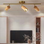 Arthur Ceiling Light Spotlight