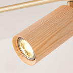 Arthur Ceiling Light Spotlight