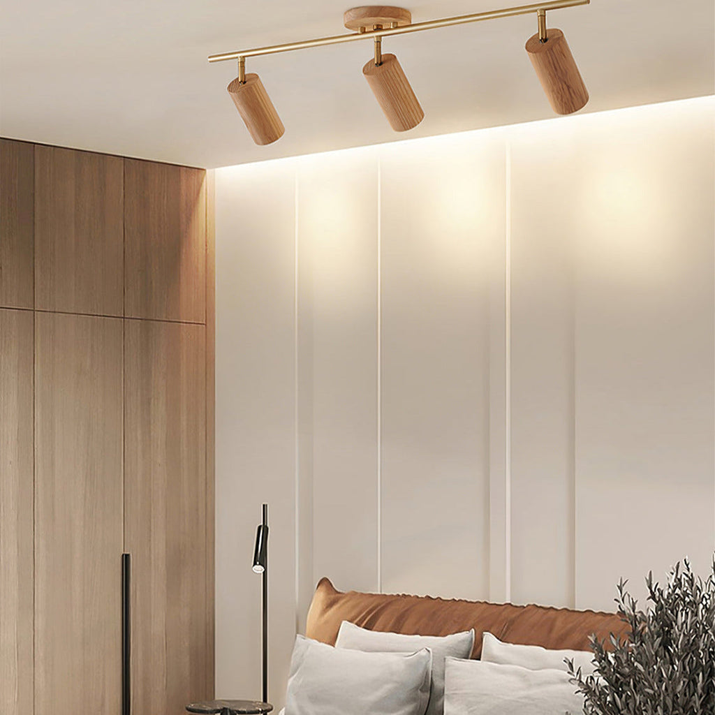 Arthur Ceiling Light Spotlight