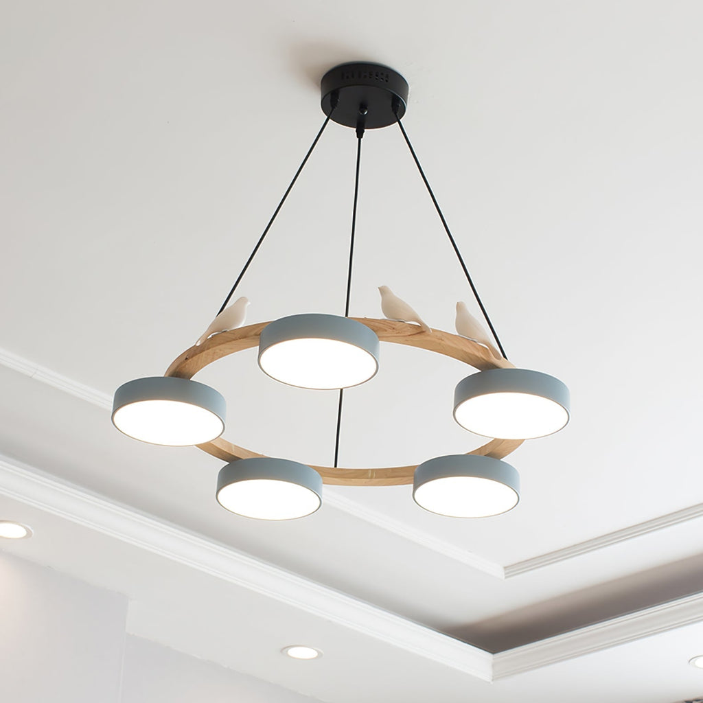 Cliff Chandelier Bird Round