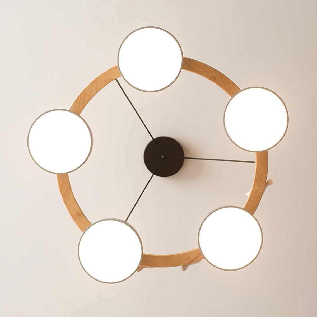 Cliff Chandelier Bird Round