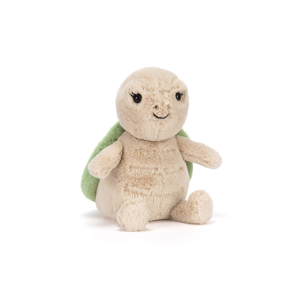 Thimble Turtle