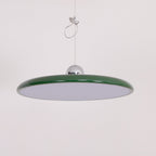 Flux Pendant Lights Morandi Adjustable Arm