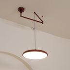 Flux Pendant Lights Morandi Adjustable Arm