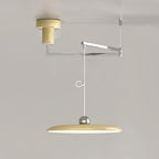 Flux Pendant Lights Morandi Adjustable Arm