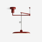 Flux Pendant Lights Morandi Adjustable Arm
