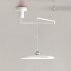Flux Pendant Lights Morandi Adjustable Arm