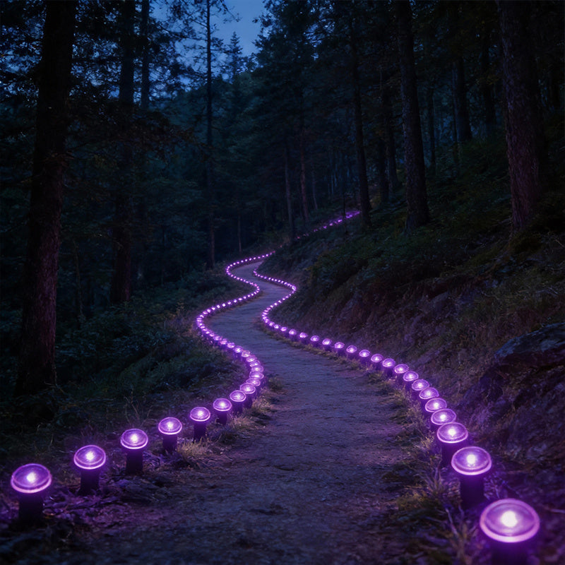 30-LED Solar Pathway Lights, Outdoor Landscape & Lawn Stake Lights, IP66