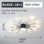 Wesley Modern Home Decoration Fireworks LED Ceiling Light