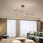 Remi Pendant Light Tir-Circle Liner