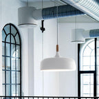 Acorn Pendant Light Metal Shade Height Adjustable Bedroom Dining Room — White Black Blue Grey Green