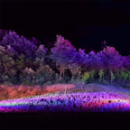 Outdoor RGB LED Spot Light 30W Waterproof Hardwired Landscape Tree Lighting — Singles to 8-Pack