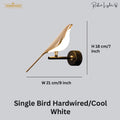Cool White