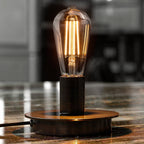 Vintage Edison Style LED Bulbs E26 Standard Base 2700K Warm White 60W Equivalent ST19 — 4-Pack
