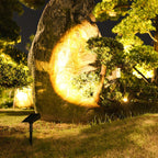 Solar Multi-Zoom Spotlight Waterproof LED Landscape Garden Tree — Warm White & RGB Singles to 4-Pack